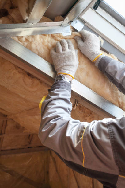 Types of Insulation We Offer in Douglas, AL